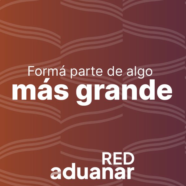 red-aduanar-comex-19